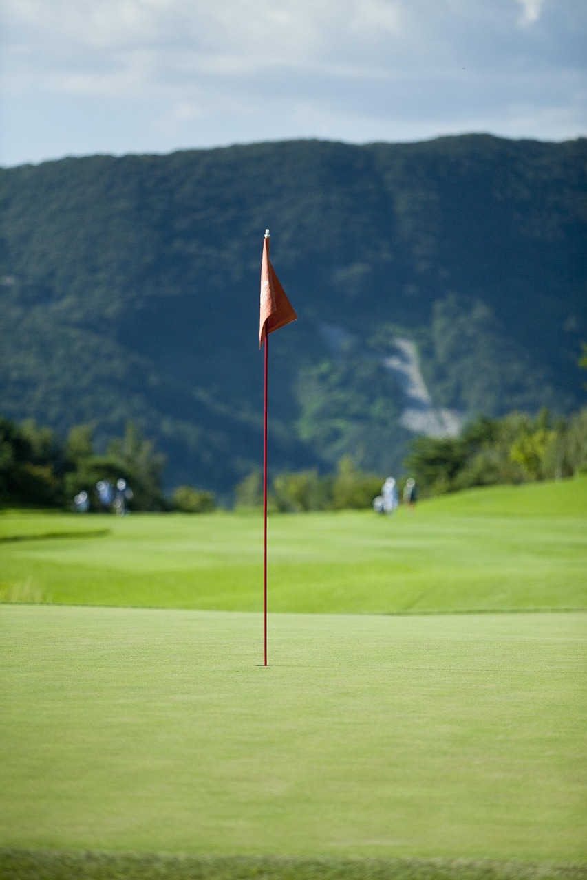 golf, golf tournament, golf course, nature, golf players, grass