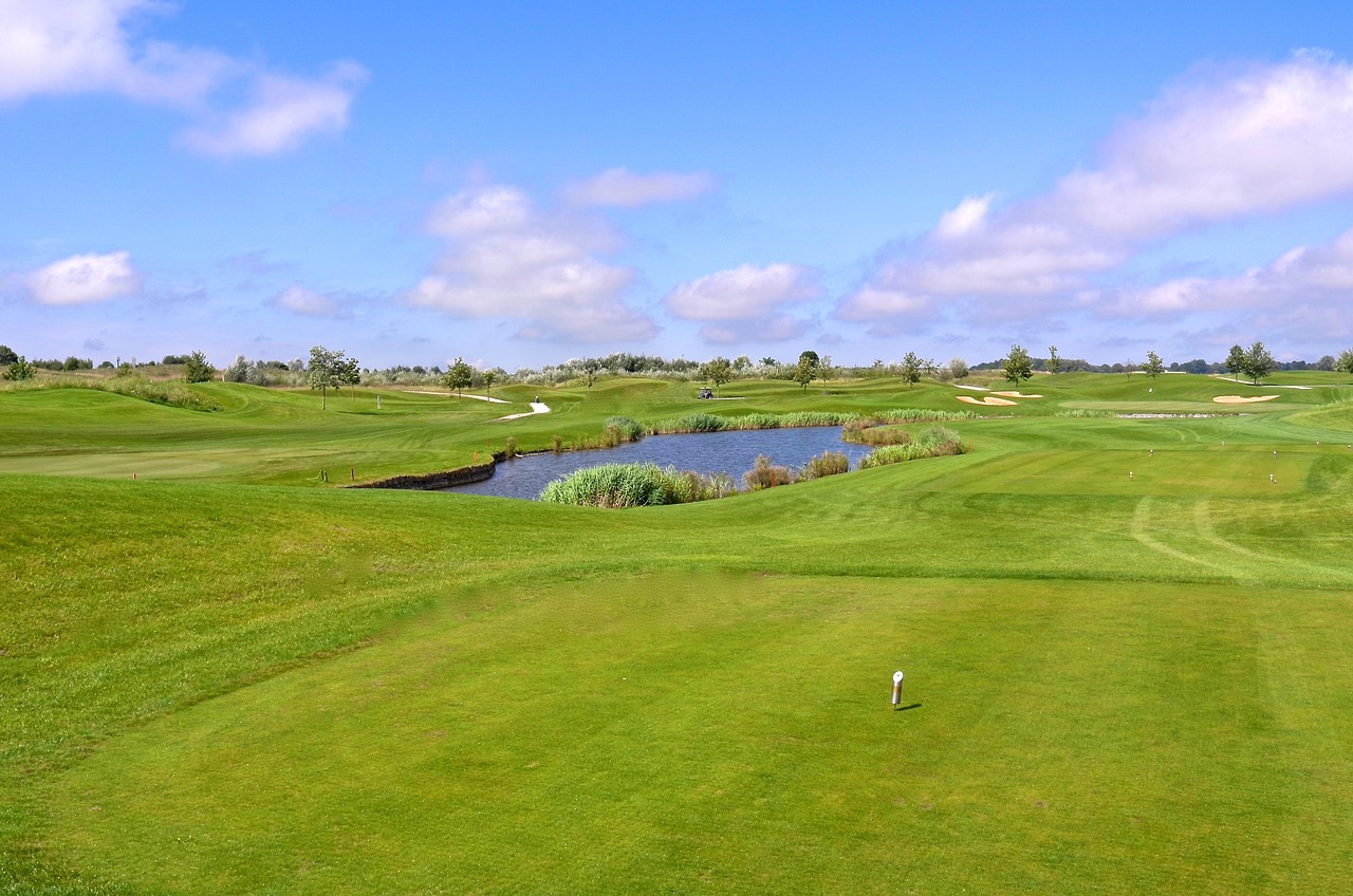 golf, golf course, golf game, grass, nature, game